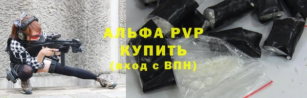 тгк Абаза