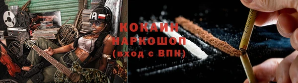 тгк Абаза