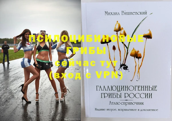 молекула духа Абинск