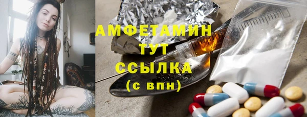 тгк Абаза
