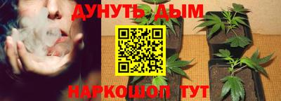 трава Пугачёв