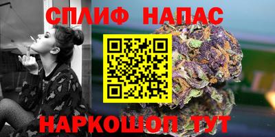 трава Пугачёв