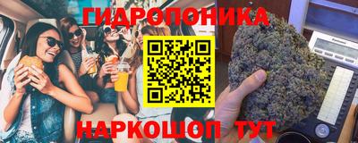 a pvp Рыбинск