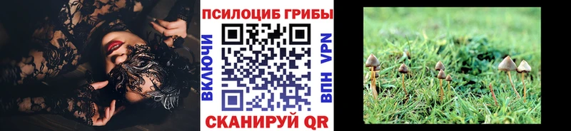 Галлюциногенные грибы MAGIC MUSHROOMS  Юрга 