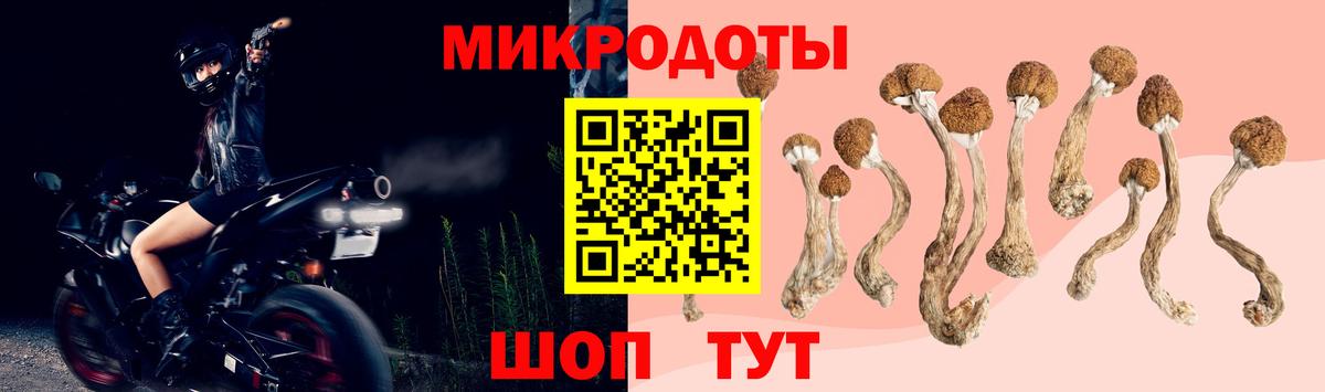 Галлюциногенные грибы ЛСД Юрга