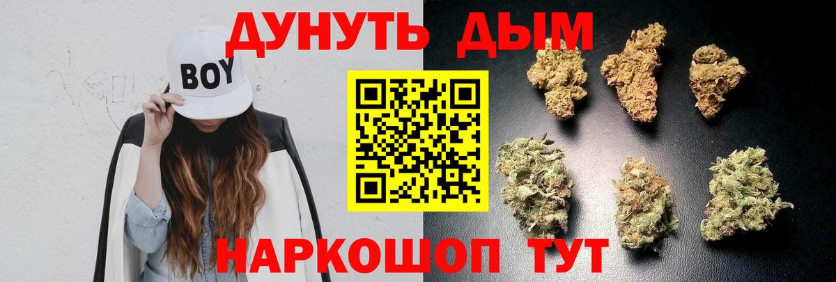 Каннабис OG Kush Юрга